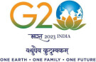The G20